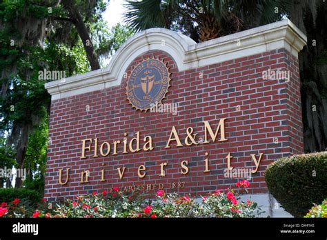 Florida am university - Jan 6, 2010 · Florida Agricultural and Mechanical University (FAMU) is a historically black four-year public institution located on a 419 acre campus in Tallahassee, Florida. The school was founded as the State Normal College for Colored Students, and first opened its doors to 15 students and two instructors … Read MoreFlorida A&M University (1887- ) 
